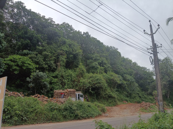 50Cent to 6 Acre Commercial /Residential Land For Sale at Kodenchery , Calicut