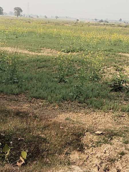 16 Bigha Agricultural/Farm Land for Sale in Koraon, Allahabad