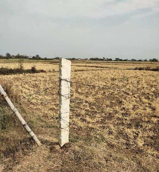 4 Bigha Agricultural/Farm Land for Sale in Koraon, Allahabad