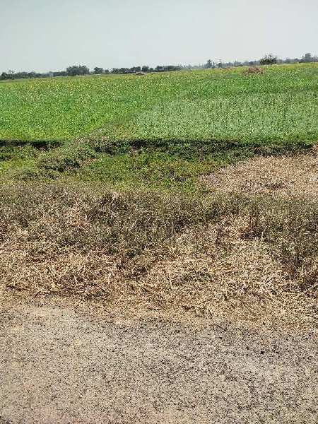 30 Bigha Agricultural/Farm Land for Sale in Lalganj, Mirzapur-cum-Vindhyachal