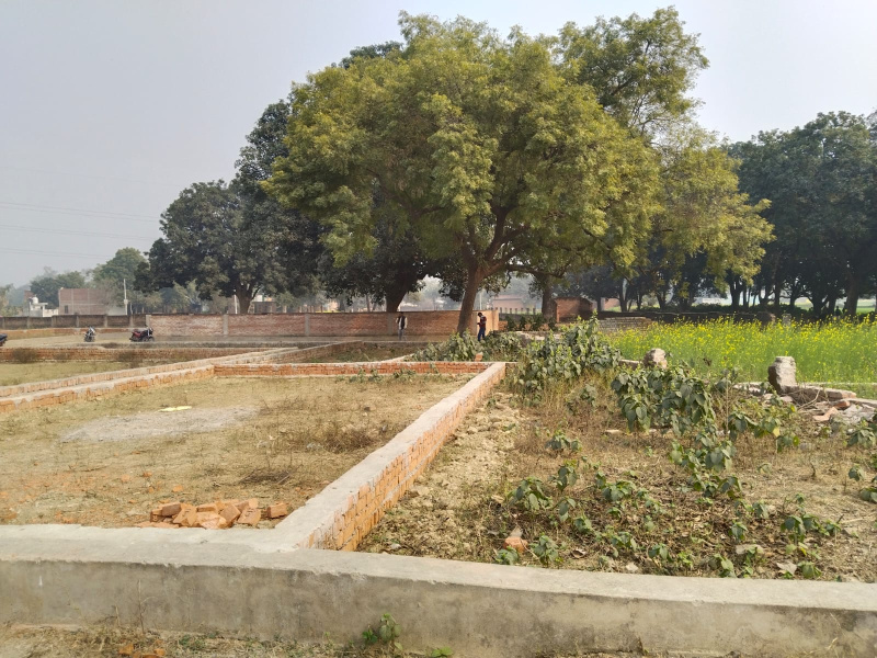 1125 Sq.ft. Residential Plot for Sale in Jhusi, Allahabad
