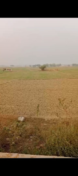Agricultural/Farm Land for Sale in Allahabad Varanasi Road, Prayagraj (200 Bigha)