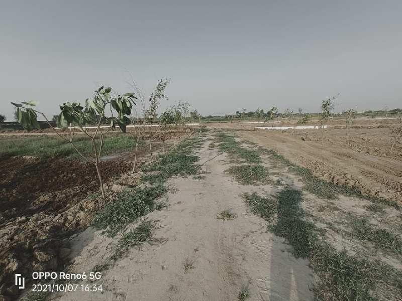 10 Ares Agricultural/Farm Land for Sale in Sohna Road, Gurgaon
