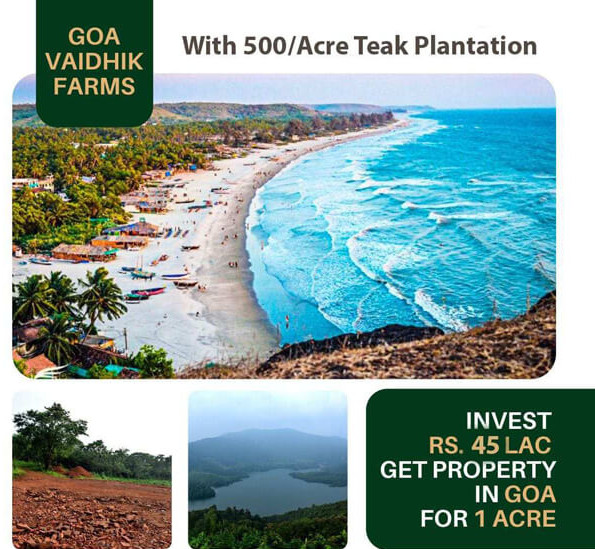 400 TEAK TREE = INCOME 4 CR AFTER 10 YEARS