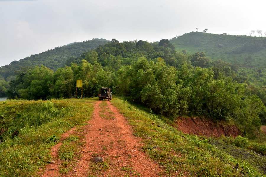 20 Acre Agricultural/Farm Land for Sale in Dodamarg, North Goa, Goa