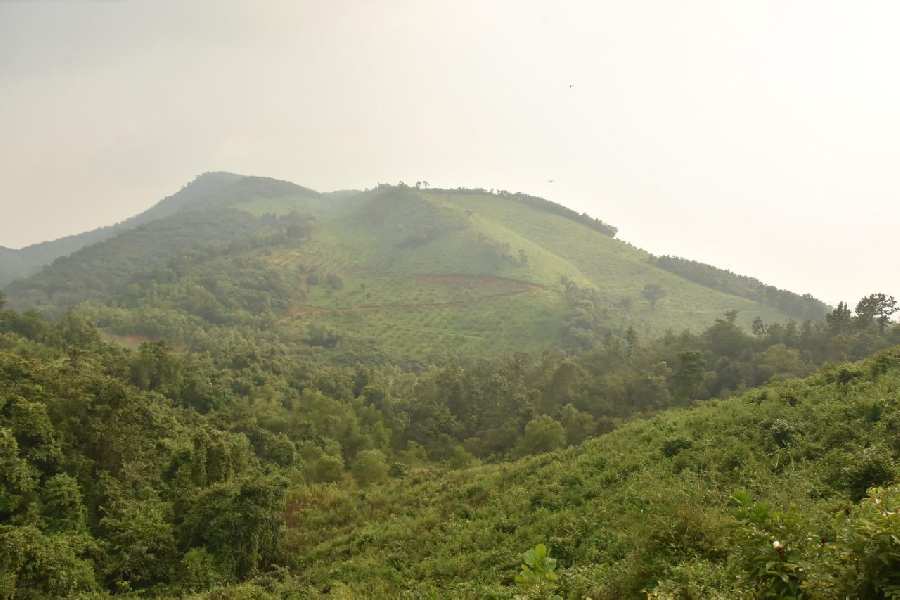 100 Acre Agricultural/Farm Land for Sale in Dodamarg, North Goa, Goa