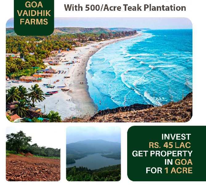 1 Acre Agricultural/Farm Land for Sale in Dodamarg, North Goa, Goa