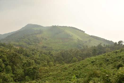 15 Acre Agricultural/Farm Land for Sale in Dodamarg, North Goa, Goa
