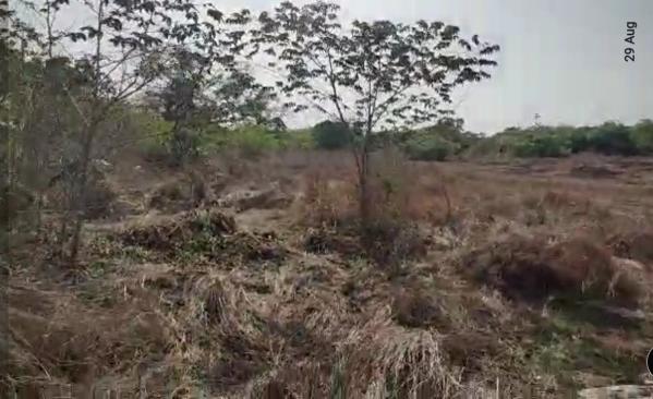 6250 Sq. Meter Residential Plot for Sale in Candolim, Goa