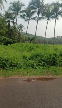 15000 Sq. Meter Agricultural/Farm Land for Sale in Arpora, Goa