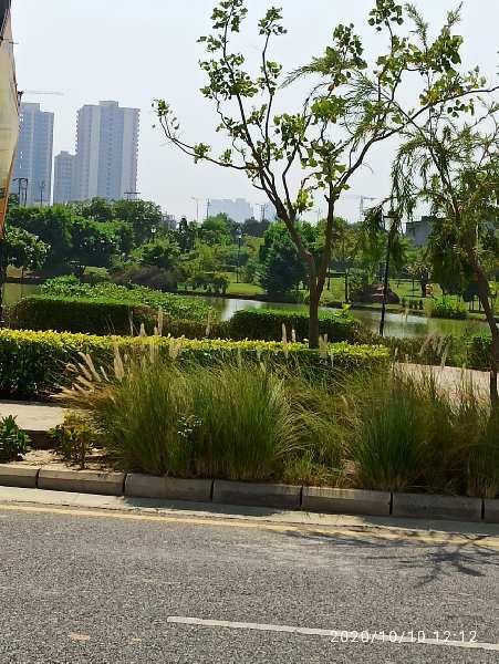 164 Sq. Yards Residential Plot for Sale in Chi V, Greater Noida