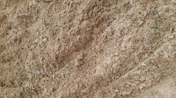 Property for sale in Fatehganj Pashchimi, Bareilly