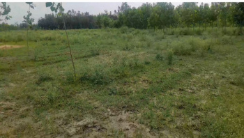 Agricultural/Farm Land for Sale in Fatehganj Pashchimi, Bareilly (700 Bigha)