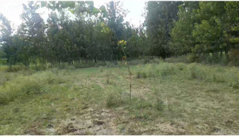 Property for sale in Dhamora, Rampur