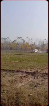 Agricultural/Farm Land for Sale in Dataganj, Badaun (300 Bigha)