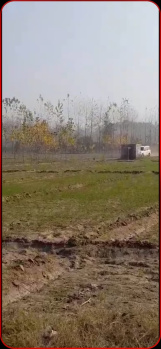 Agricultural/Farm Land for Sale in Aonla, Bareilly (100 Bigha)