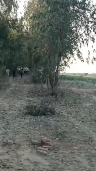 250 Bigha Agricultural Land for Sale in Dataganj Badaun Near Samrer Village