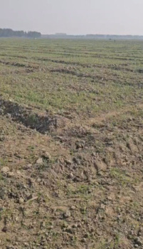 2000 Bigha Agricultural Land for Sale in Tilhar, Shahjahanpur (Single Plot)