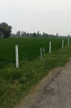 Property for sale in Mohammadi, Lakhimpur Kheri