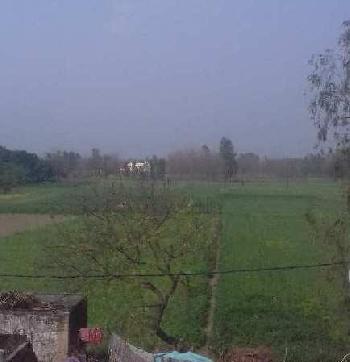 20 Acre Agricultural/Farm Land for Sale in Badaun Road, Bareilly