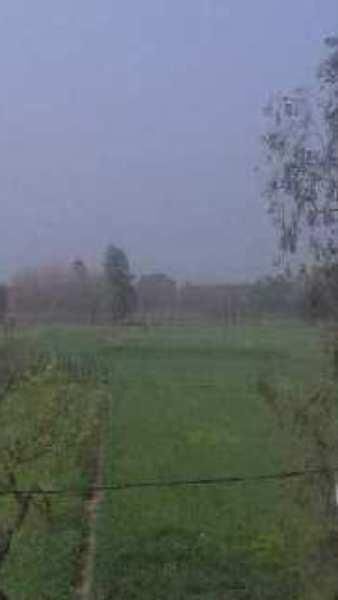Agricultural/Farm Land for Sale in Milak, Rampur (50 Acre)
