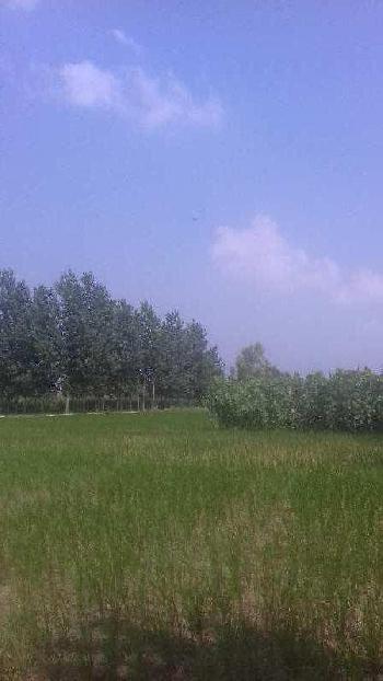 Property for sale in Aonla, Bareilly