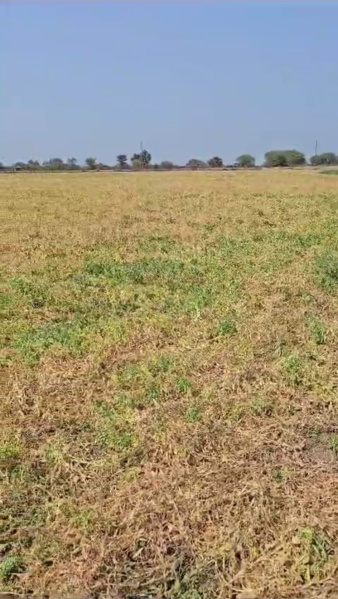 40000 Sq.ft. Commercial Lands /Inst. Land For Rent In Meerut Road Industrial Area, Ghaziabad