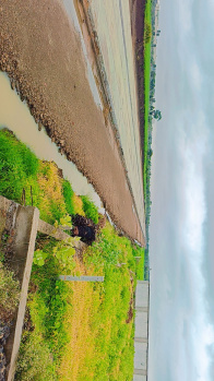 1875 Sq.ft. Commercial Lands /Inst. Land For Sale In Kanadiya, Indore