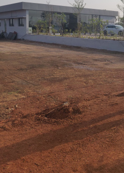 1352 Sq.ft. Residential Plot for Sale in Pirda, Raipur