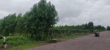 Agricultural/Farm Land for Sale in Datrenga, Raipur (9150 Sq.ft.)