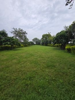 Residential Plot for Sale in Sejbahar, Raipur (1500 Sq.ft.)