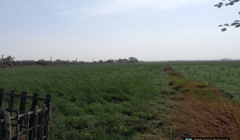 Property for sale in Masaurhi, Patna