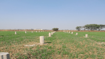 Investment Plote And Rediancel Plote