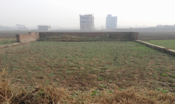 Commercial Lands /Inst. Land for Sale in Beur, Patna (2041 Sq.ft.)
