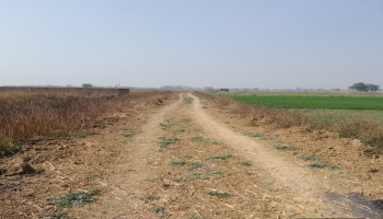 Residential Plot for Sale in Punpun, Patna (1361 Sq.ft.)