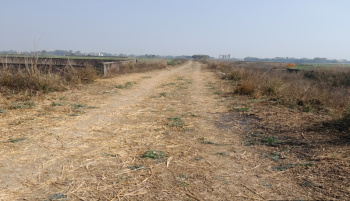 Property for sale in Punpun, Patna