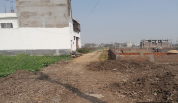 Residential Plot for Sale in Bairiya, Patna (1250 Sq.ft.)