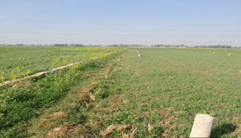 Residential Plot for Sale in Punpun, Patna (1361 Sq.ft.)