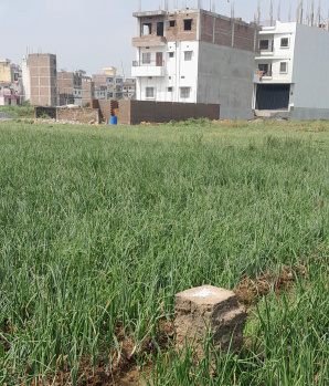 Residential Plot for Sale in Jaganpura, Patna (1180 Sq.ft.)