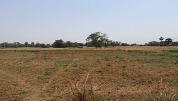 Agricultural/Farm Land for Sale in Masaurhi, Patna (18 Katha)