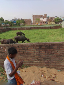 Property for sale in Bairiya, Patna