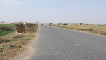Commercial Lands /Inst. Land for Sale in Phulwari Sharif, Patna (40 Katha)