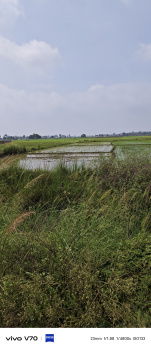 Commercial Lands /Inst. Land for Sale in Anisabad, Patna (4083 Sq.ft.)