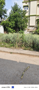 Residential Plot for Sale in Anisabad, Patna (1361 Sq.ft.)