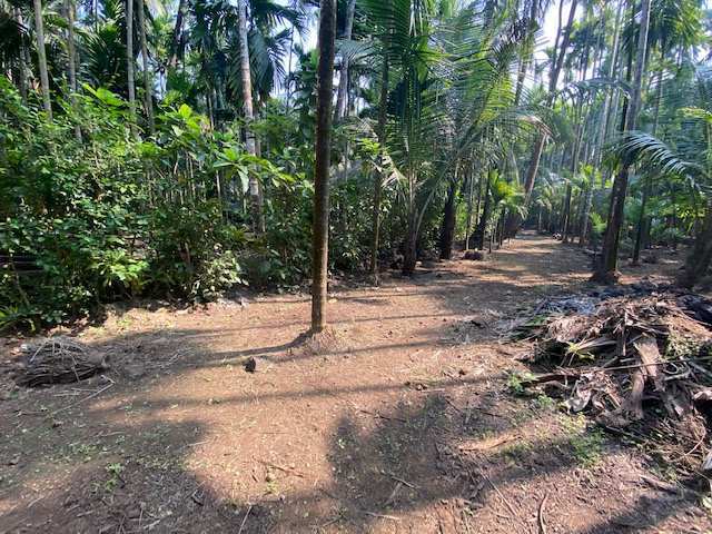 10000 Sq. Ft. Agriculture/Farm Land For Sale.