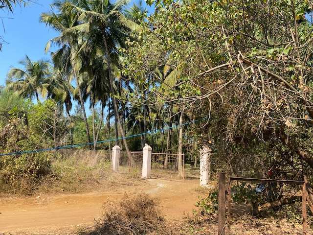 Alibag Nagaon beach view agriculture plots for sale