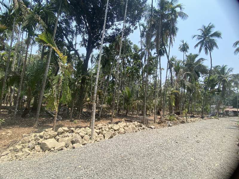 20000 Sq.ft. Agricultural/Farm Land for Sale in Chaul, Raigad