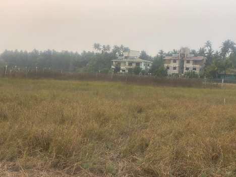 11000 Sq.ft. Residential Plot for Sale in Nagaon, Raigad