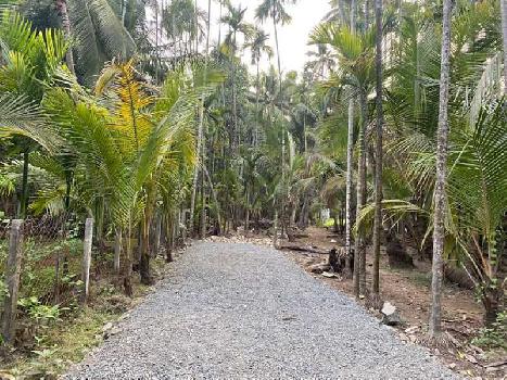 6060 Sq.ft. Residential Plot for Sale in Chaul, Raigad