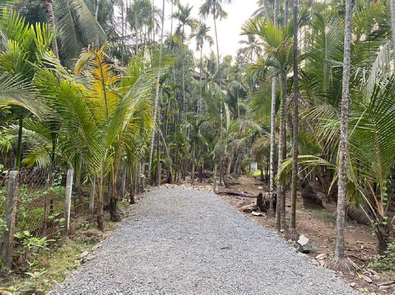 6060 Sq.ft. Residential Plot for Sale in Chaul, Raigad